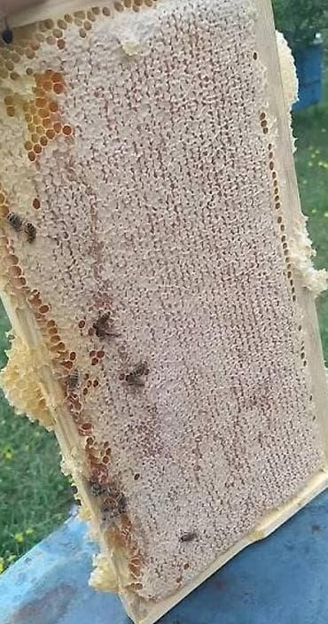 Ət məhsulları: Salam aleykum təbii balın 1kq 35 manat — 3