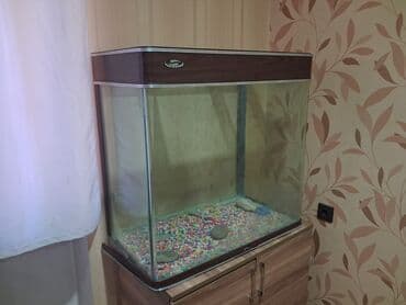 İtlər: Dördbucaq akvarium, Boş, 180 l, Ünvandan götürmə — 3