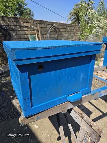 Məhsul: Taxta arı yeşiyi (boyanmış korpuslu) Təsvir: - Tam taxtadan