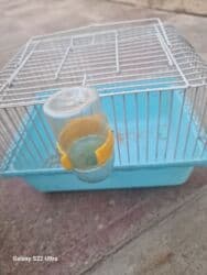 клетка для собак: İşlənmişdir 5 manat — 2