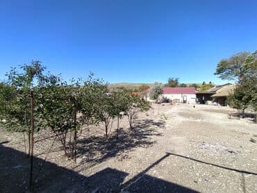 şıxovda torpaq sahəsi: 6 sot, Kənd təsərrüfatı, Kupça (Çıxarış) — 10