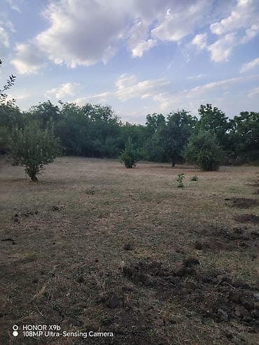20 yanvar satilan evler: 12 sot, Kənd təsərrüfatı, Mülkiyyətçi, Kupça (Çıxarış), Texniki pasport — 7