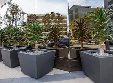 dibcək: Dibcekler — 5