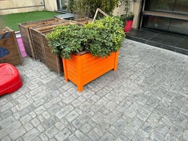 ev bitkiləri: Uzunluq 80 sm. hundurluk 53sm eni 34sm — 5