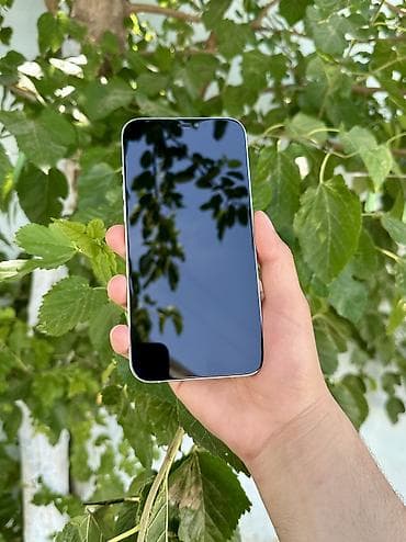 mac pro: IPhone 12 Pro Max, 128 GB — 2