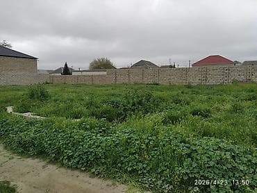 basavik satisi: 5 sot, Tikinti, Mülkiyyətçi, Müqavilə, Bələdiyyə — 5