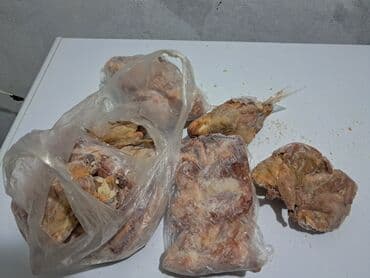 Gəmiricilər: Bildirçinlər satılır 1-i 3 manat Endirim olunacağ — 2