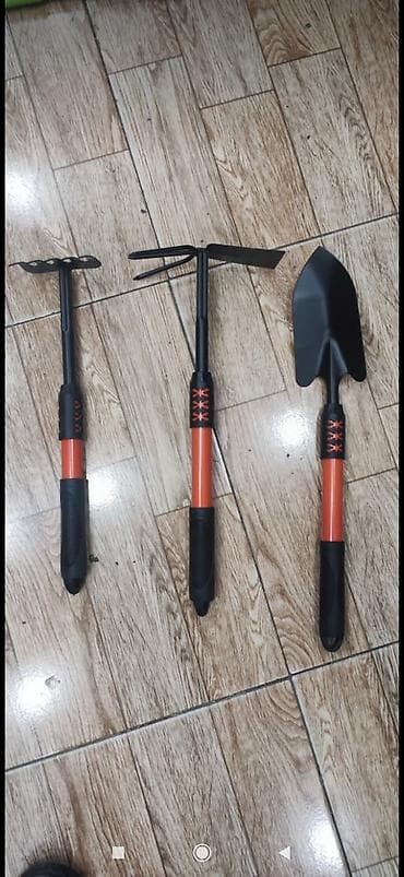 yeni shark: Lapatka dırmıqlar — 1