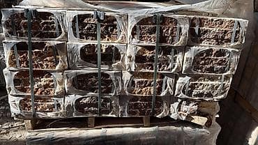 plastik hasarlar: Kabançikdaslarin vurulması - Fasad və çəpər üzlüyü - Daxili dekor — 3