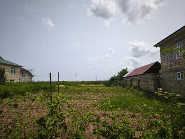 obyekt ucun torpaq: 9 sot, Tikinti, Mülkiyyətçi, Kupça (Çıxarış) — 5