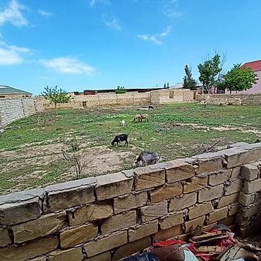 участок с времянкой: Для строительства, Купчая — 5