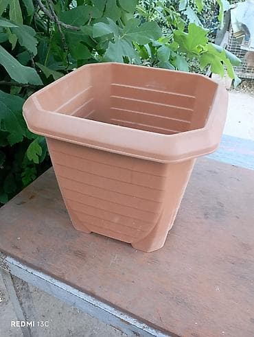 tulpan gulleri: Plastik dekorativ güldan (kvadrat formalı) - Material: yüngül və — 1