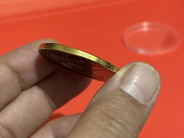 nerd taxta oyunu: 2025 il, Vəziyyəti: Əla — 2