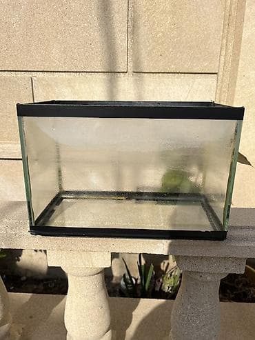 100 l akvarium: Akvaryum dəsti - Şüşə akvaryum: düzbucaqlı forma, şüşə divarlar və — 2