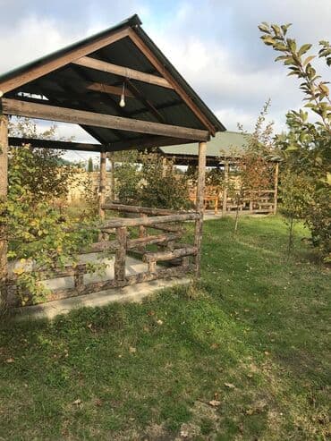 guven emlak mingecevir: Qəbələdə əsas yola yaxın ərazidə restoran satılır. 27 sot torpaq — 2