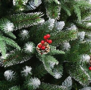 yolka isiqlari satisi: Yolka — 2