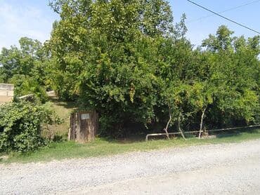 купить недвижимость в баку: 12 sot, Kənd təsərrüfatı, Mülkiyyətçi, Kupça (Çıxarış) — 1