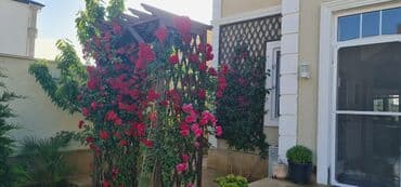 виллы на вилле: Мярдяканы, 200 м², 6 комнат, С бассейном, Интернет, Газ, Электричество — 19