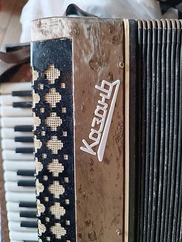 Akustik Akkordeon — 2