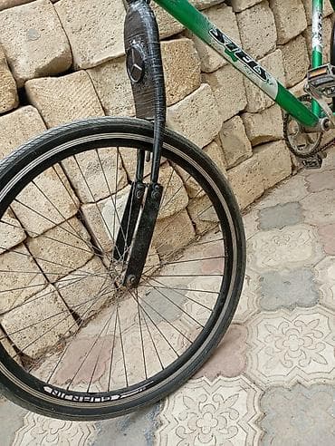 Elektrik velosipedlər: İki təkərli Uşaq velosipedi Stels, 28", sürətlərin sayı: 1 — 2