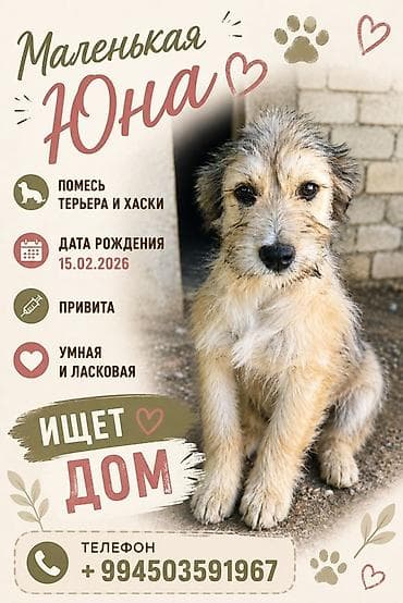 Самка, С прививками
