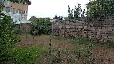 Недвижимость: 🚨 TƏCİLİ! Sahibindən Novxanıda, "Prezident Bağları"nda 4 Sot Boş — 1