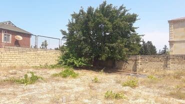 sabuncu qəsəbəsi: 32 sot, Kənd təsərrüfatı, Maklerlər narahat etməsin, Kupça (Çıxarış) — 14