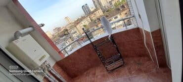 jasmin park sumqayit: Nərimanov metrosu Layf centrdə 16 mərtəbəli binanın 7-ci mərtəbəsində — 9