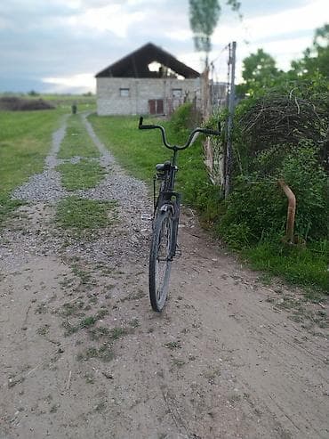 velospet: Şəhər və kənd yolları üçün klassik tək sürət velosiped - Rəng: qara - — 4