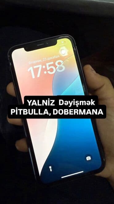 IPhone 11, 64 GB, Qara, Face ID