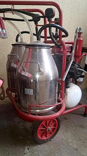 İnkubatorlar: Cüt bidon, Türkiyə, Paslanmaz bidon — 1