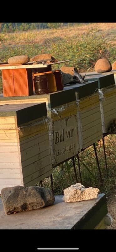 bal: 100% Tam Təbii bal. Endirim: İlk defe alanlara 10% endirim. 4kq — 4