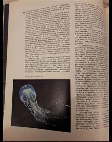 güvən ümumi tarix: Kitab Drama Okeana — 2