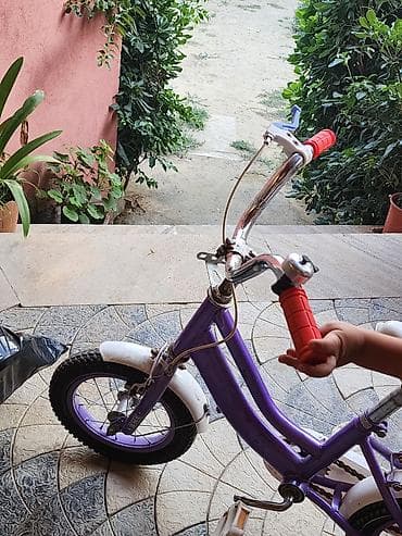 velobet: Velosiped 1 il işlənib, hazırda satılır — 3