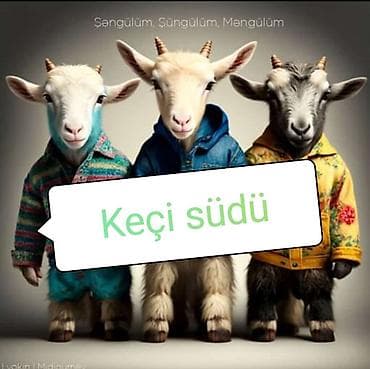 toyuq dos eti: Keçi südü –öncədən sifariş etməyiniz xahiş olunur. Ünvan — 1