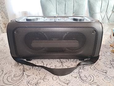 işlenmiş kalonka: Eltronic ART.20-40 portativ akustik sistemi + simli dinamik mikrofon — 3