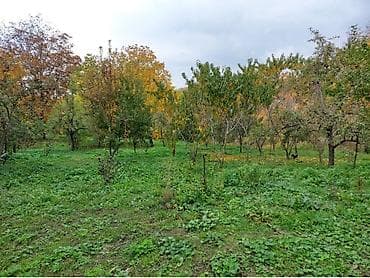 daşınmaz əmlakın satışı: 50 sot, Tikinti, Mülkiyyətçi — 4