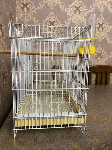 toyuq ucun yem qablari: Quş qəfəsi – geniş və funksional - Material: möhkəm metal tor — 3