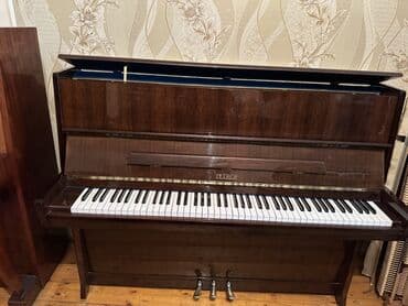 hədəf azərbaycan dili qayda kitabı qiyməti: Piano, Petrof, Akustik, Yeni, Pulsuz çatdırılma — 1