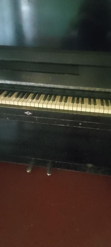 Upright piano – klassik qara korpus. Xüsusiyyətlər: - Akustik upright