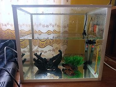 kompresor akvarium: Akvarium və balıq dəsti satılır. Dəst tərkibi: - Şüşə akvarium — 4