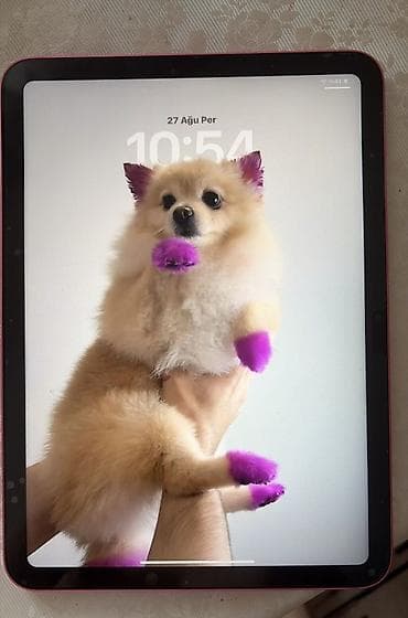 internet ötürücü: İşlənmiş Apple iPad 11 (2025), 11", 128 GB, Ünvandan götürmə, Ödənişli çatdırılma — 2