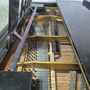 Royallar: Royal, Akustik, İşlənmiş, Ünvandan götürmə — 4