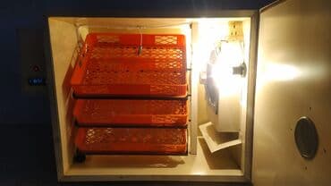 inqubator satisi: Qəbələdə 400 yumurtalıq əla keyfiyyətli yeni inkubator satılır — 4