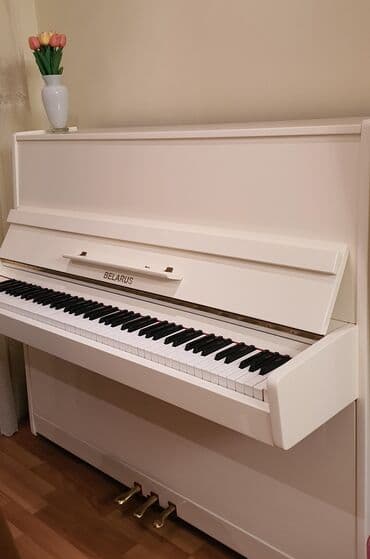 сакал остуруу крем: Piano, Belarus, Akustik — 1