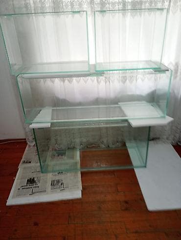 K/t heyvanları və malları: Salam istənilən ölçüdə akvarium və terariumlar yığıram nömrədə vhatsap — 4