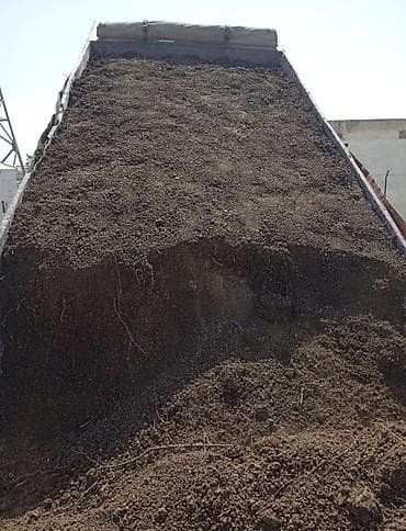 meyve ağacları: Məhsul: Qara torpaq (landşaft və bağçılıq üçün) Təsvir: - Təbii, qida — 4