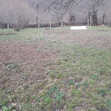 imişlidə torpaq satılır: 8 sot, Biznes üçün, Bələdiyyə — 5