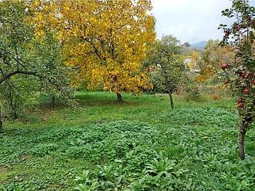 daşınmaz əmlakın satışı: 50 sot, Tikinti, Mülkiyyətçi — 6