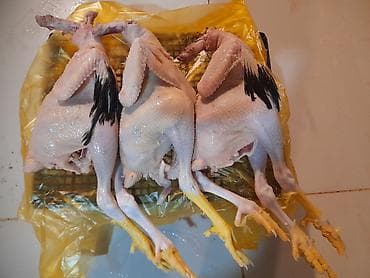 Ət məhsulları: Kənd toyuğu Toyuq Bütöv — 1